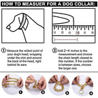 Stainless Large Collar Chain
