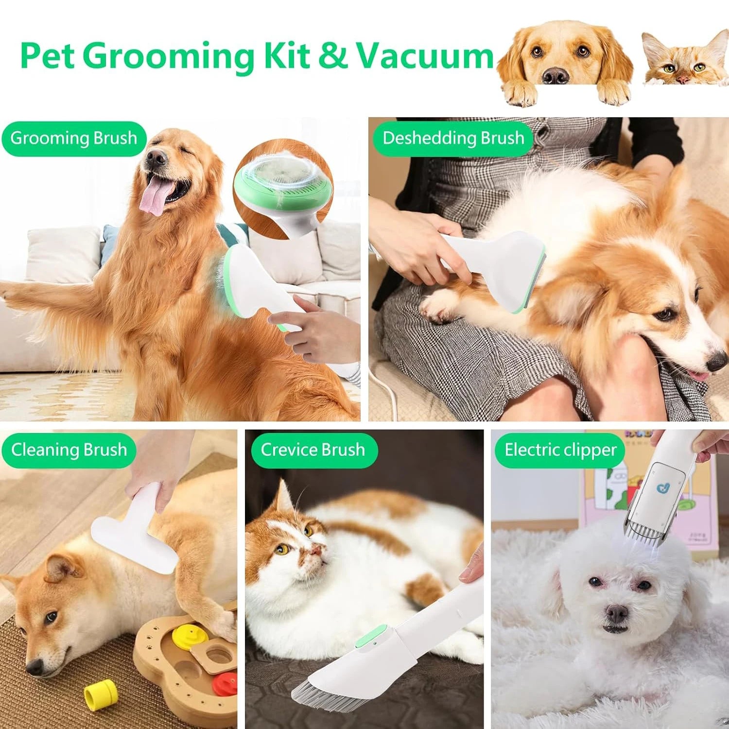 Professional Quiet Dog Grooming