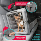 Large open kennel, Travel