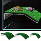 Turtle Climbing Platform/Sunbathing