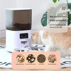 WiFi Automatic Cat Feeder with Double Bowls
