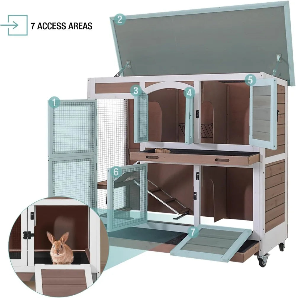 Rabbit Hutch, Guinea Pig/Cage