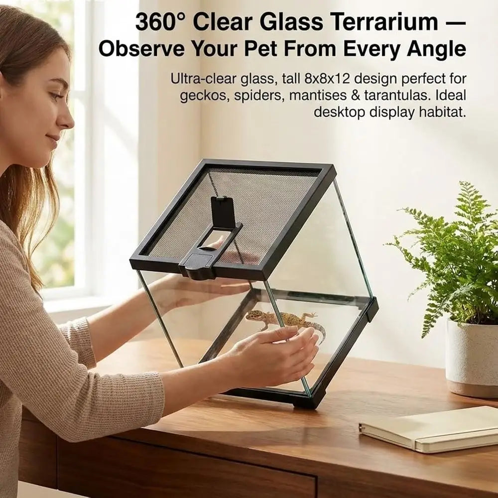Glass Tarantula Enclosure