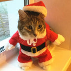Christmas Dog Costume