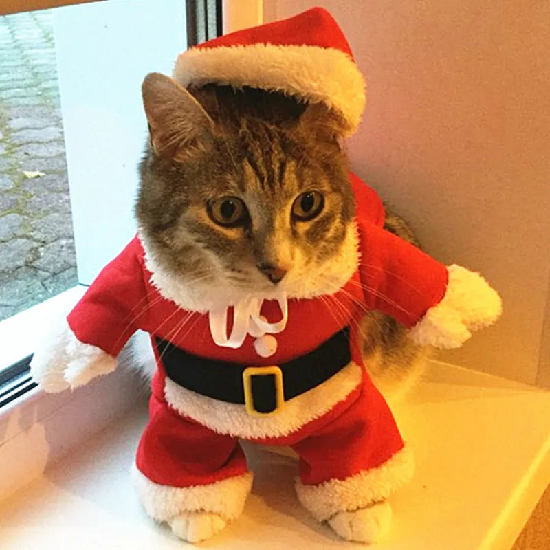 Christmas Dog Costume