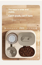 Dog/Cat Automatic Feeder/Waterer Set