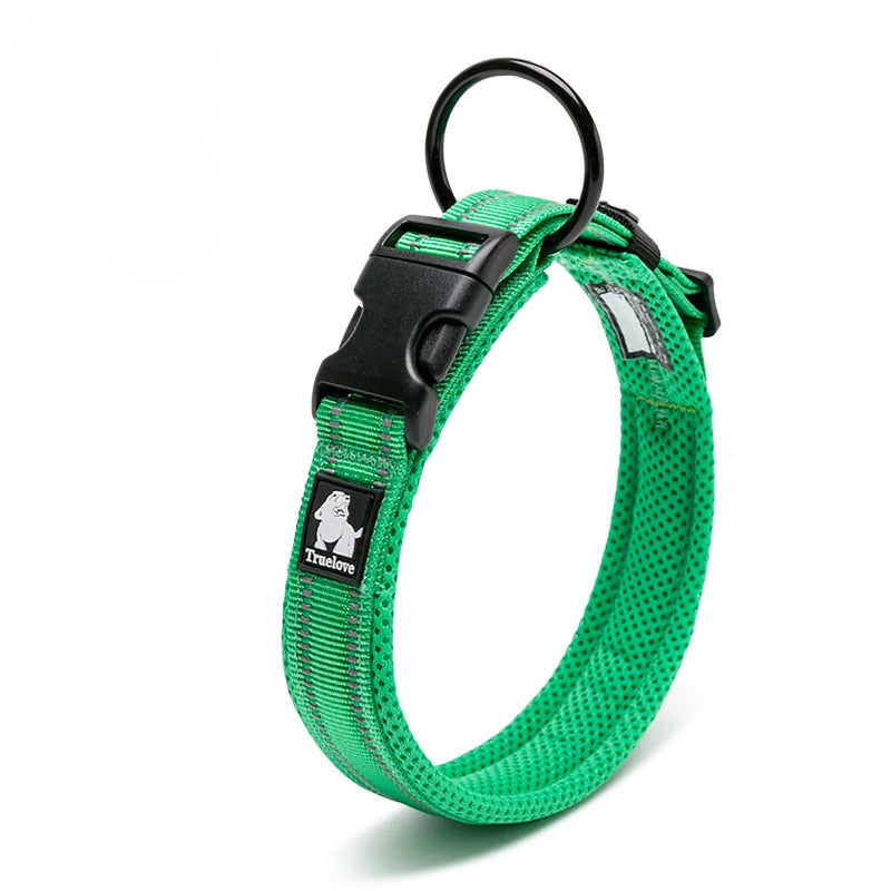 Dog Walking Collar with Buckle