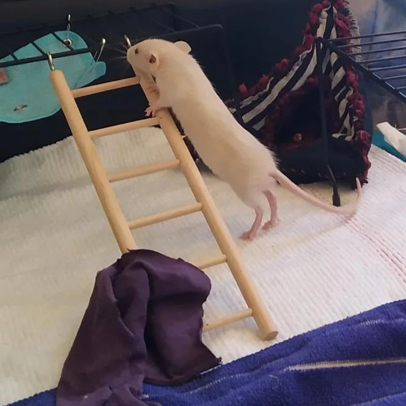 Parrot Toy Climbing Ladder