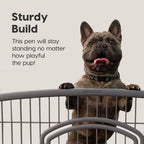 Exercise 4-Panel Pet Playpen