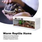 Reptile Enclosure