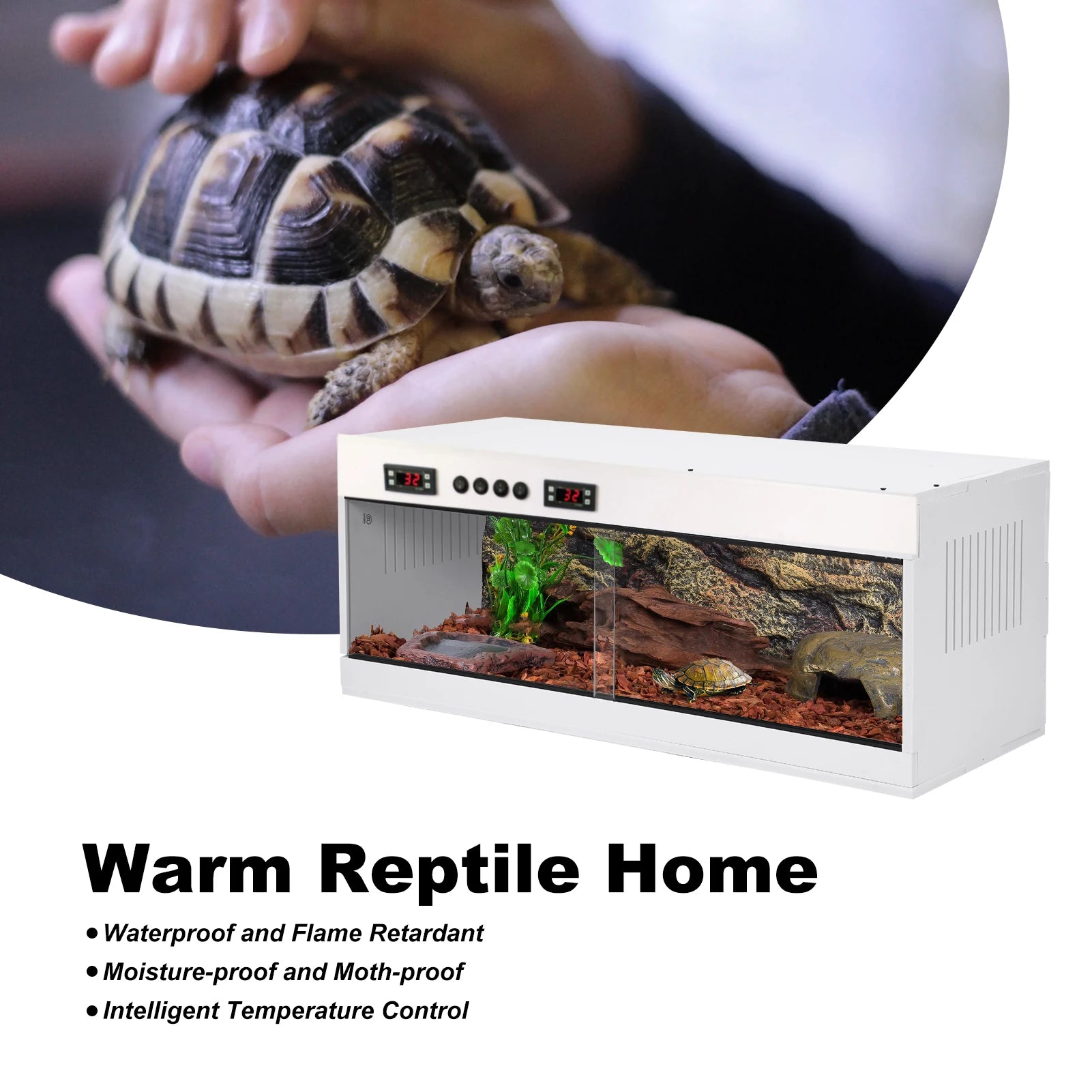 Reptile Enclosure