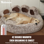 Orthopedic Donut Dog/Cat Bed