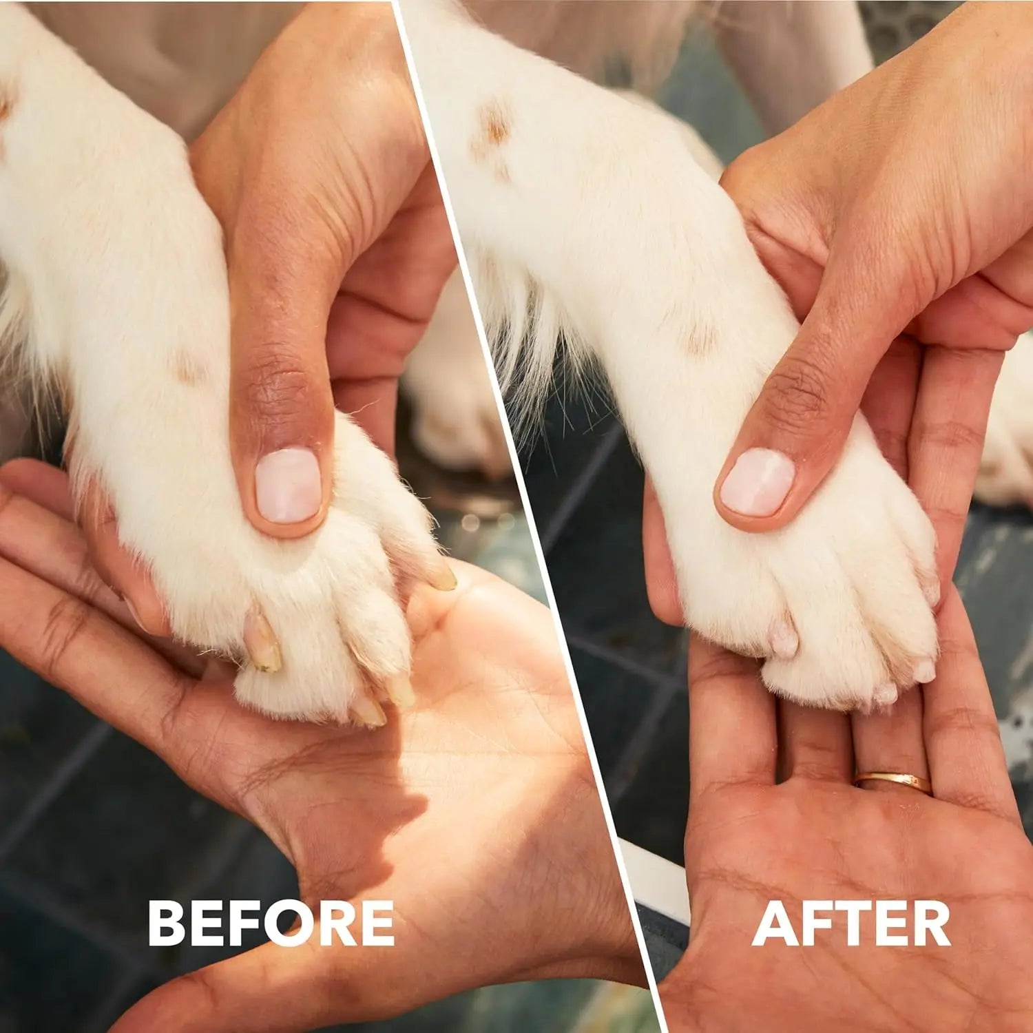 Cordless Pet Nail Grinder/Trimmer Kit