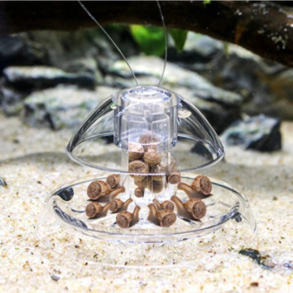Grass Tank Snail Removal Trapping