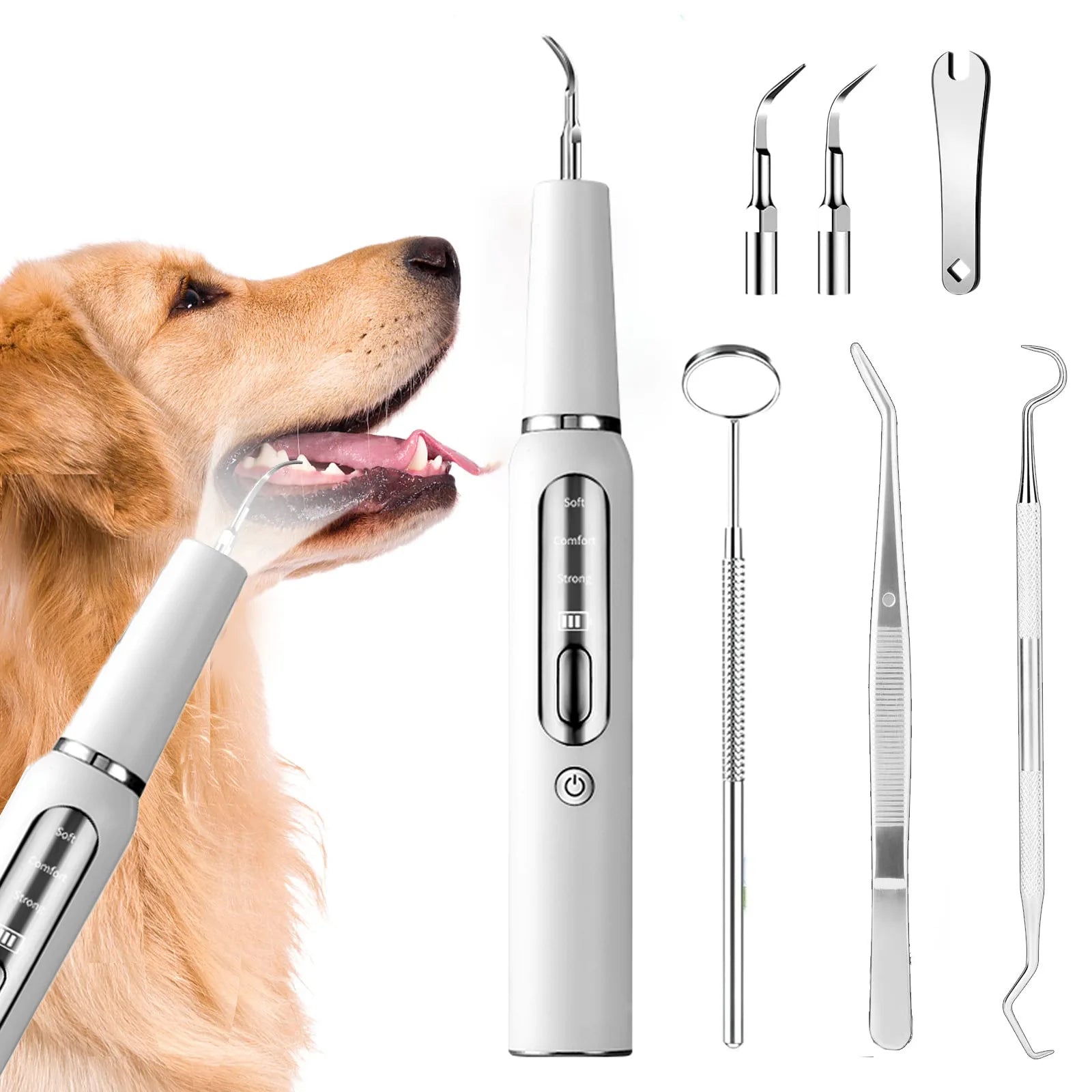 Ultrasonic Toothbrush