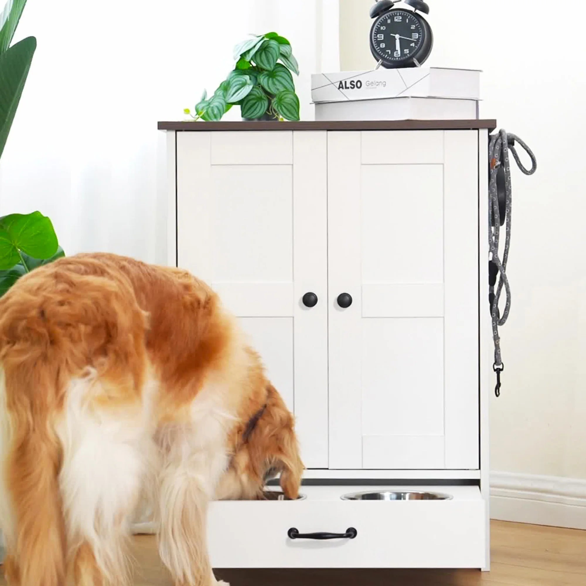 Pet Feeding Station Food Storage