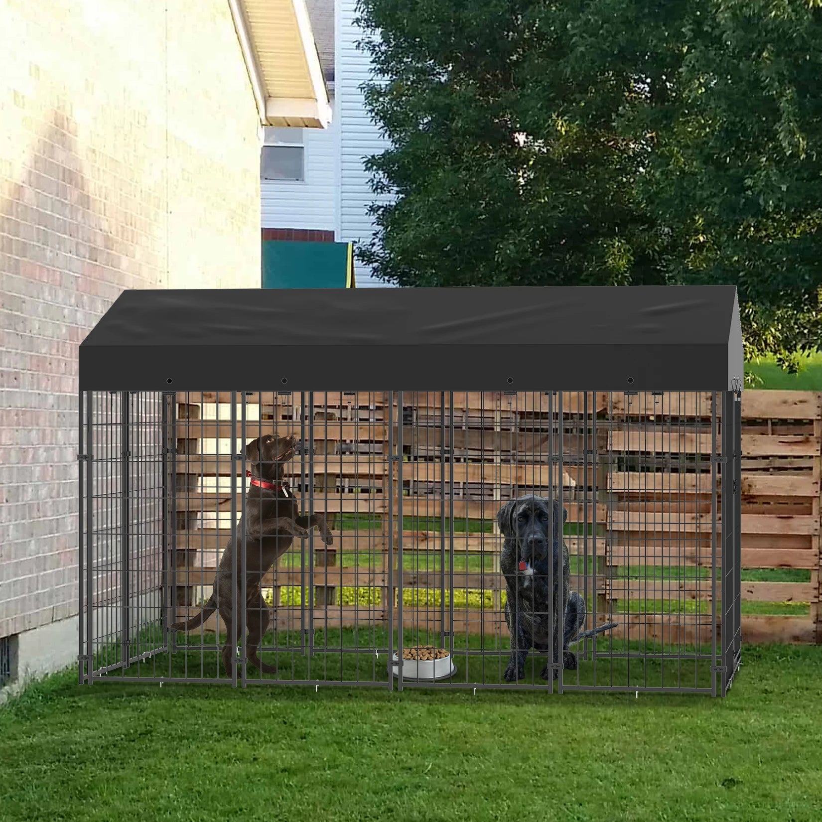 Large Dog Kennel