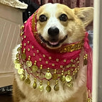 Corgi Belly Dance Belt Skirt
