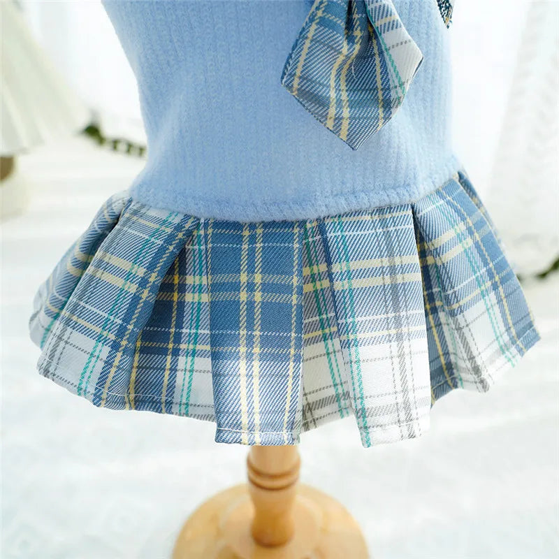 College Style Dog Dress