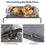Large Elevated Cooling Dog Bed