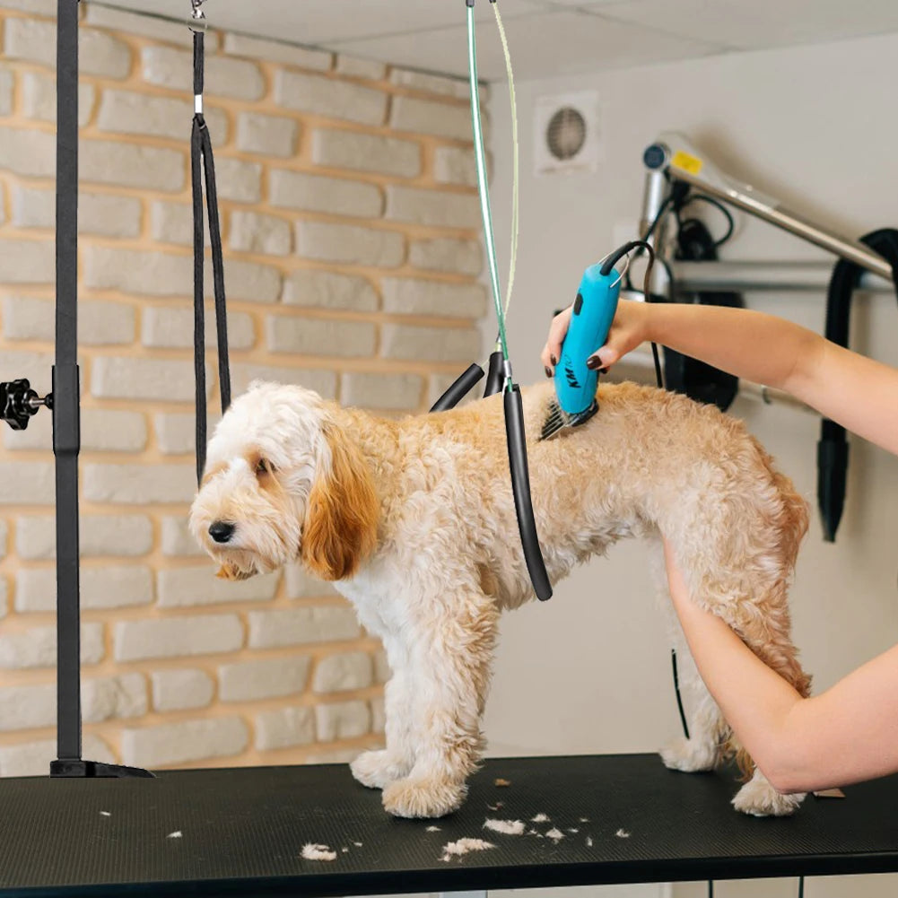 Dog Shower Stand Stainless Steel