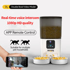 Cat double bowl smart feeder