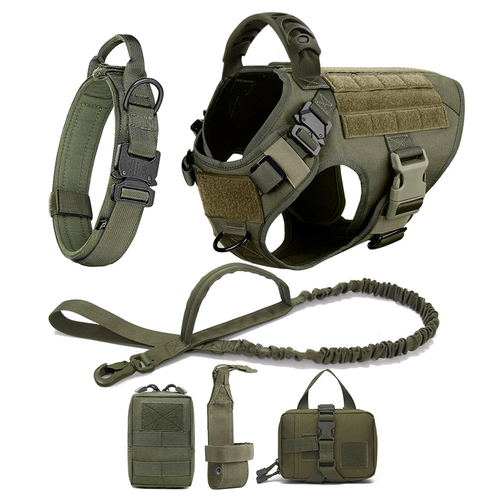 Large Dog Harness/Leash Set