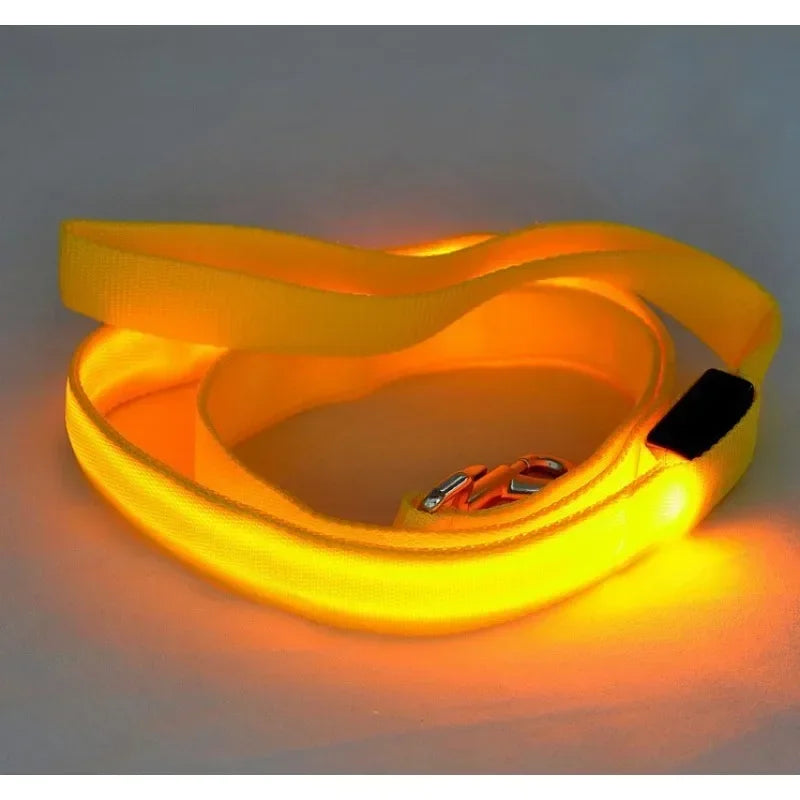 Flashing Leash Leash Rope