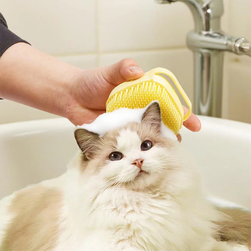 Bathing Brush with Soap Dispenser