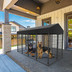 Large Dog Kennel