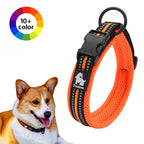 Dog Walking Collar with Buckle