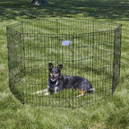 Folding Dog Exercise Pen