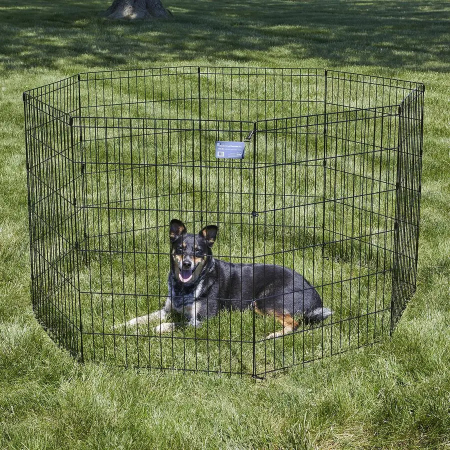 Folding Dog Exercise Pen