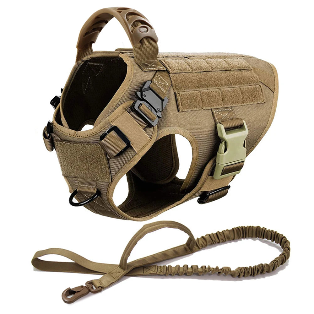 Large Dog Harness/Leash Set