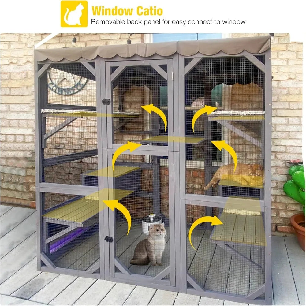 Cat House