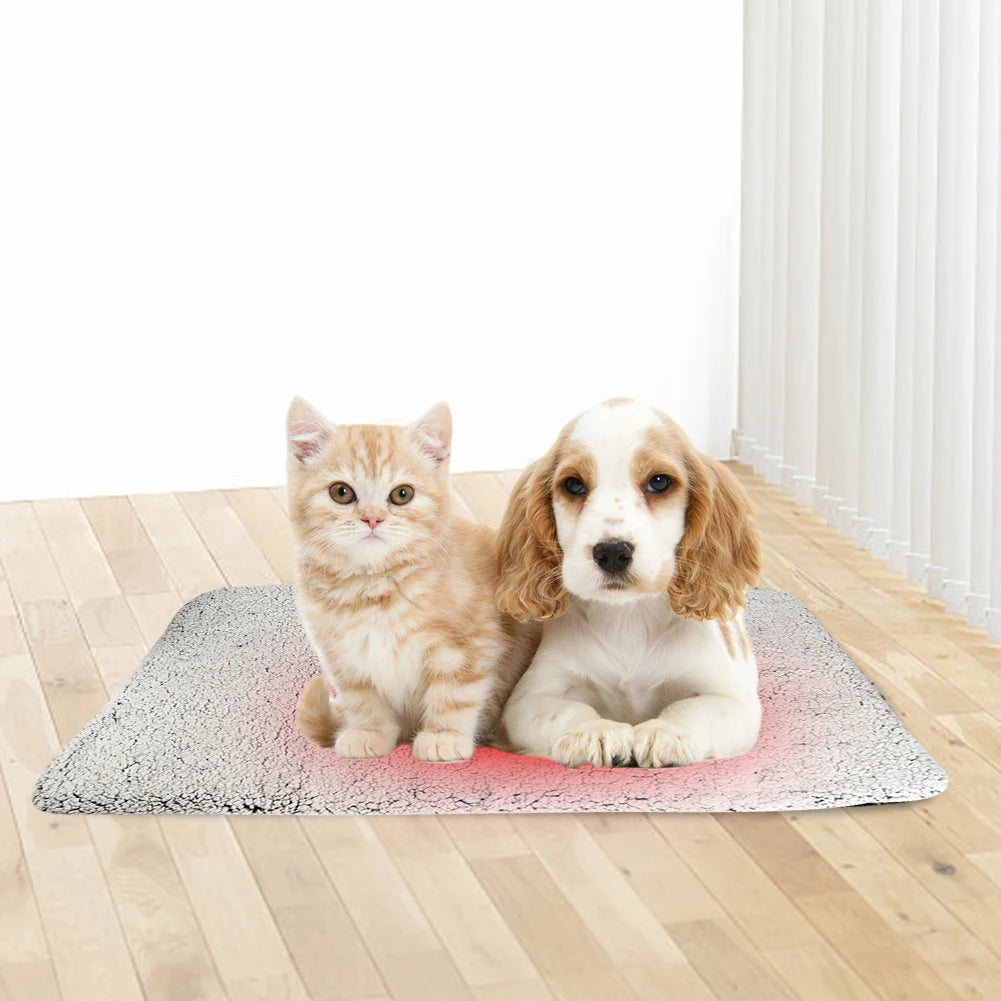 Self-Heating Cat/Dog Bed