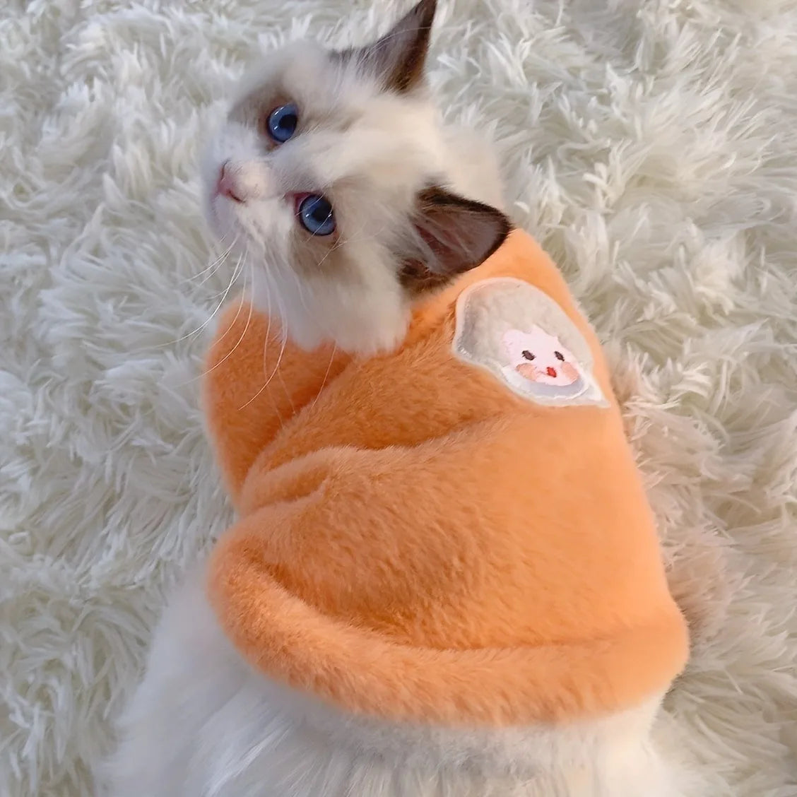 Cats Warm Kittens Clothes