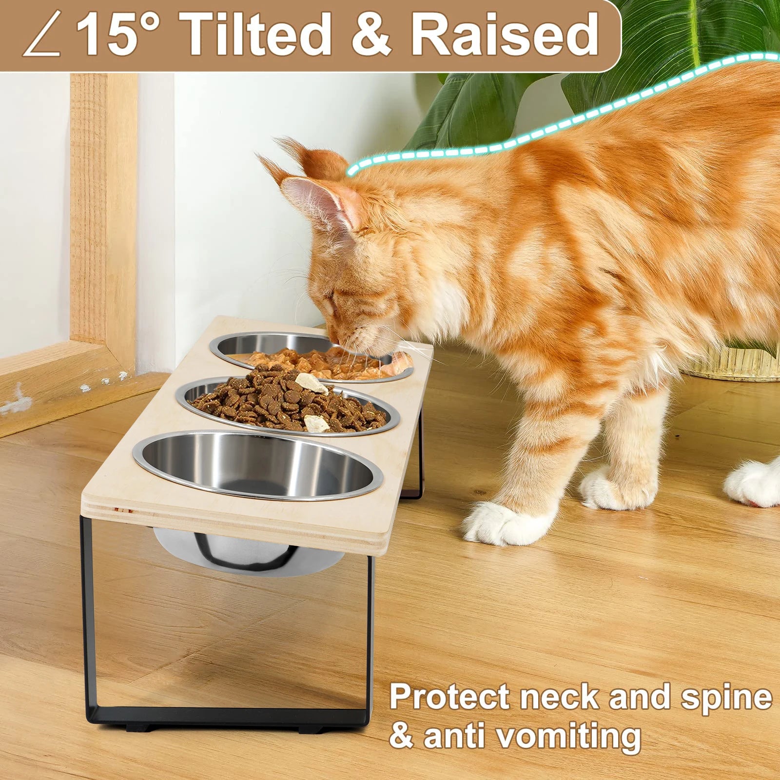 Elevated Cat Bowls