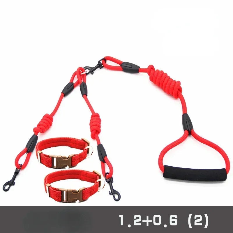 Leashes for 2 smaller Dogs
