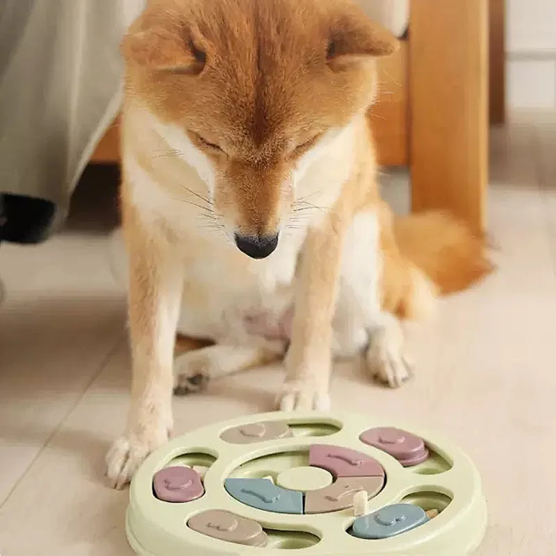 Funny Dog Cat Feeding Toy