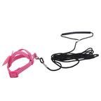 Bird Harness/Leash Training