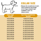 Heavy Duty Dog Choke Collar