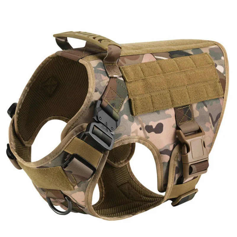 Large Dog Harness/Leash Set