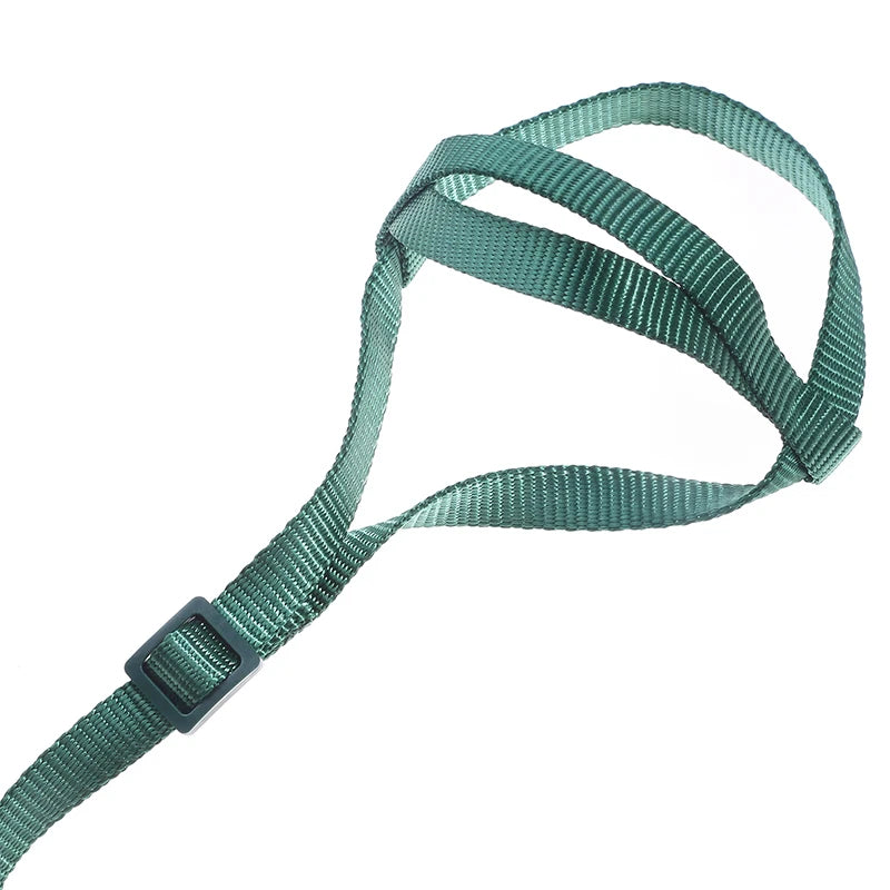 Bird Harness/Leash Activities