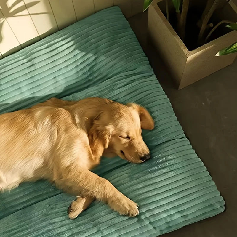 Warm Dog Bed