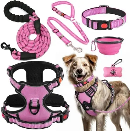 Training Kit for Dogs