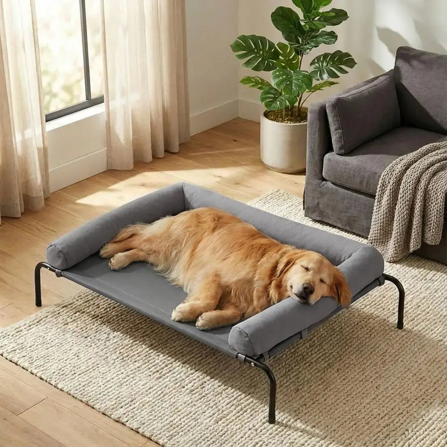 Large Elevated Cooling Dog Bed