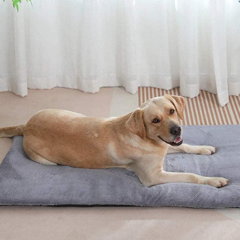 Dog/Cat Bed Heated