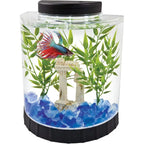 1 Gallon Half Moon Small Fish Tank