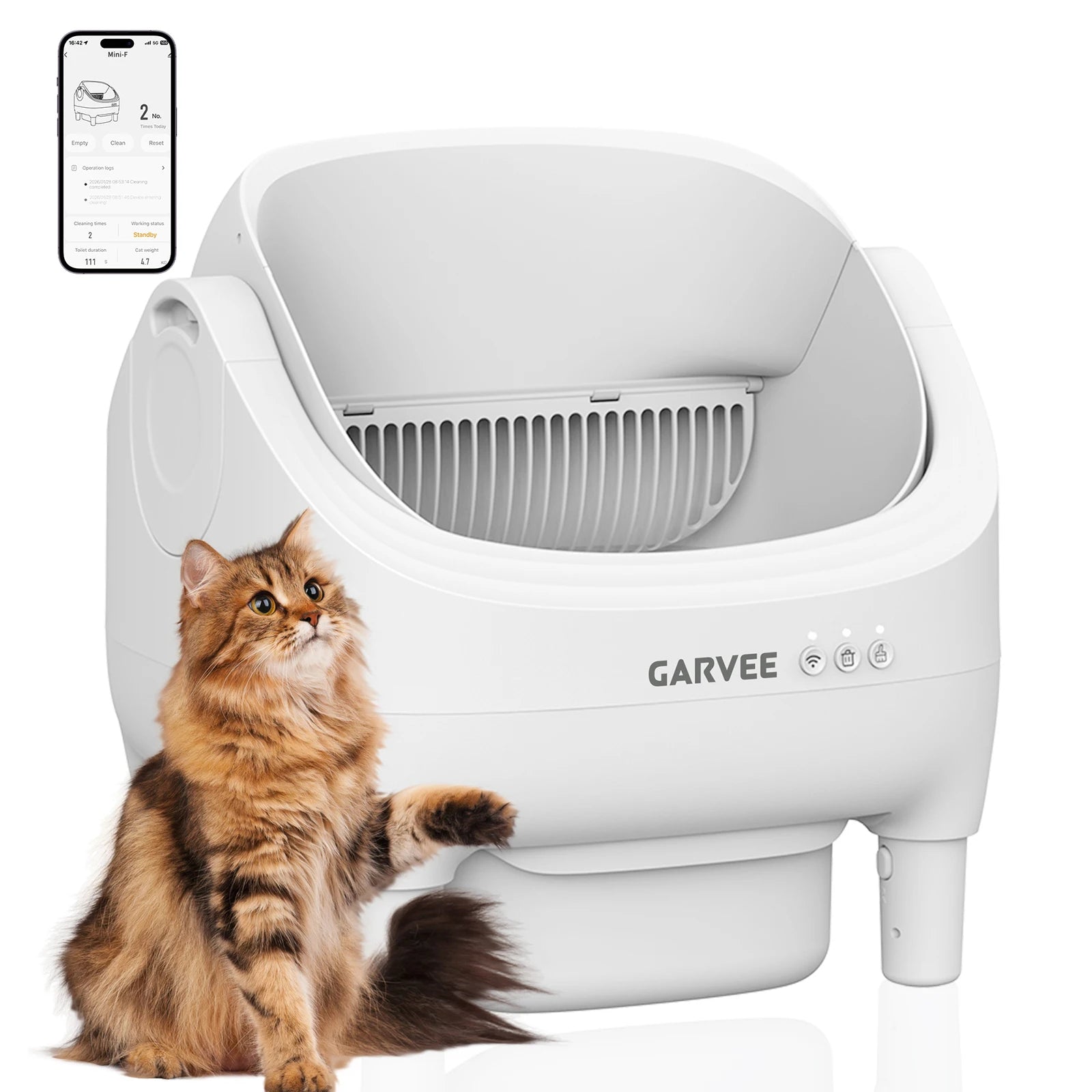 Self Cleaning Cat Litter Box